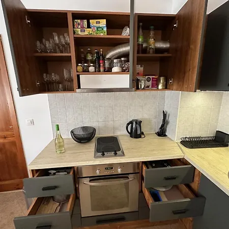 Family Luxury Private For 4 Max 6 People In 4 Star St Ivan Rilski, Апартхотел