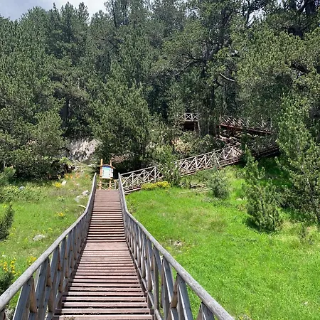 アパートホテル Family Luxury Private Apartments With Wellness In 4 Star Spa Resort St Ivan Rilski, Bansko バンスコ