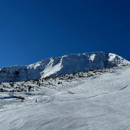 アパートホテル Family Luxury Private Apartments With Wellness In 4 Star Spa Resort St Ivan Rilski, Bansko 4*