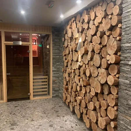 Family Luxury Private For 4 Max 6 People In 4 Star St Ivan Rilski, アパートホテル バンスコ